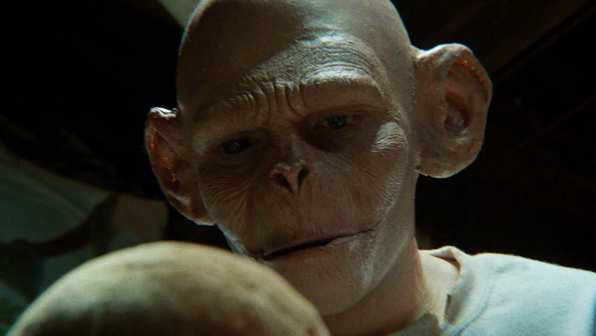 Still from Humanzee, a psychological horror short film by Taro O'Halloran