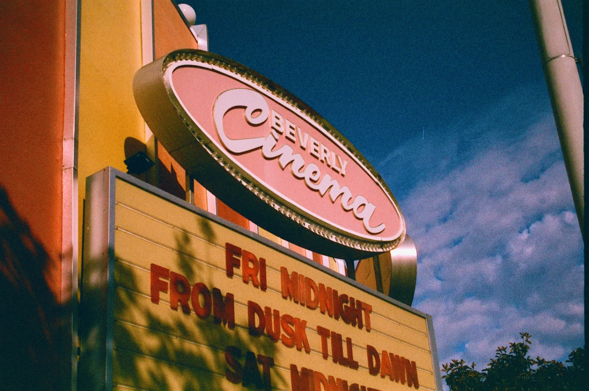 New Bev, a 35mm film photograph by Taro O'Halloran